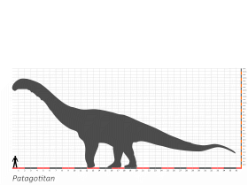 Größenvergleich / Dinodata.de. Creative Commons 4.0 International (CC BY 4.0)