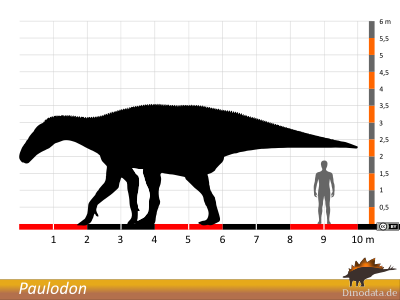 Größenvergleich / © Dinodata.de