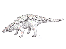 Pawpawsaurus / © Adam Stuart Smith. Verwendet mit freundlicher Genehmigung des Autors. Pawpawsaurus / © Adam Stuart Smith. Verwendet mit freundlicher Genehmigung des Autors.