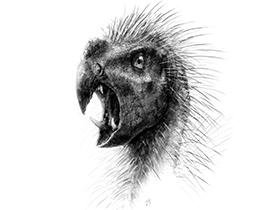 Pegomastax / © Todd Marshall Pegomastax / © Todd Marshall (eurekalert.org). Creative Commons 3.0 Unported (CC BY 3.0)