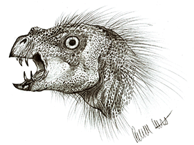 Pegomastax / © Robinson Kunz Pegomastax / © Robinson Kunz. Verwendet mit freundlicher Genehmigung des Autors.