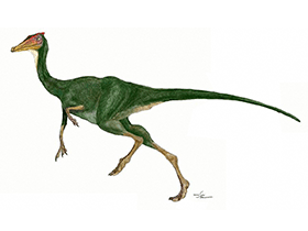 Pelecanimimus / © Mineo Shiraishi. Verwendet mit freundlicher Genehmigung des Autors Pelecanimimus / © Mineo Shiraishi. Verwendet mit freundlicher Genehmigung des Autors