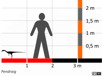 Größenvergleich / Dinodata.de. Creative Commons 4.0 International (CC BY 4.0)