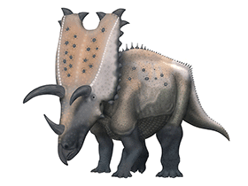 Pentaceratops / © Scott Hartman Pentaceratops / © Scott Hartman. Verwendet mit freundlicher Genehmigung des Autors.