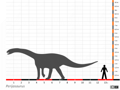 Größenvergleich / Dinodata.de. Creative Commons 4.0 International (CC BY 4.0) Größenvergleich / Dinodata.de. Creative Commons 4.0 International (CC BY 4.0)