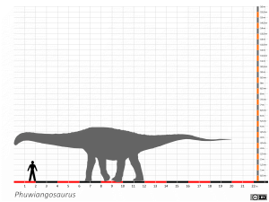 Größenvergleich / Dinodata.de. Creative Commons 4.0 International (CC BY 4.0)