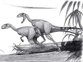 Piatnitzkysaurus / © Øyvind M. Padron. Verwendet mit freundlicher Genehmigung des Autors