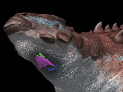 Kehlkopf-Rekonstruktion / © Yoshida et al.