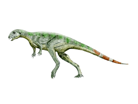 Pisanosaurus / © N. Tamura. Verwendet mit freundlicher Genehmigung des Autors. Pisanosaurus / © N. Tamura. Verwendet mit freundlicher Genehmigung des Autors.