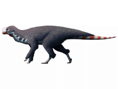 Pisanosaurus / © Nix Illustration