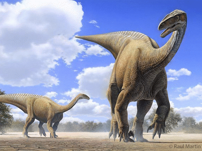 Plateosaurus / © Raul Martin. Verwendet mit freundlicher Genehmigung des Autors Plateosaurus / © Raul Martin. Verwendet mit freundlicher Genehmigung des Autors