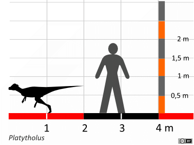 Größenvergleich / Dinodata.de. Creative Commons 4.0 International (CC BY 4.0) Größenvergleich / Dinodata.de. Creative Commons 4.0 International (CC BY 4.0)