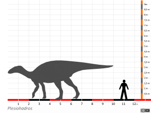 Größenvergleich / Dinodata.de. Creative Commons 4.0 International (CC BY 4.0)