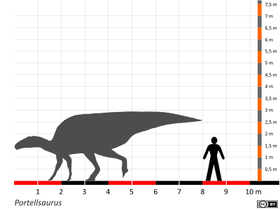 Größenvergleich / Dinodata.de. Creative Commons 4.0 International (CC BY 4.0) Größenvergleich / Dinodata.de. Creative Commons 4.0 International (CC BY 4.0)