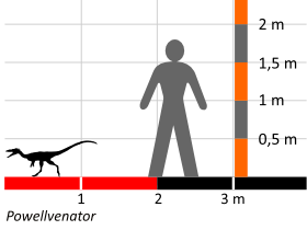 Größenvergleich / Dinodata.de. Creative Commons 4.0 International (CC BY 4.0)