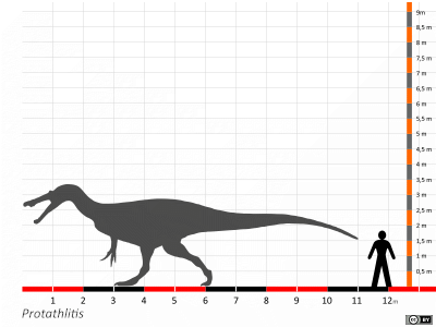 Größenvergleich / Dinodata.de. Creative Commons 4.0 International (CC BY 4.0) Größenvergleich / Dinodata.de. Creative Commons 4.0 International (CC BY 4.0)