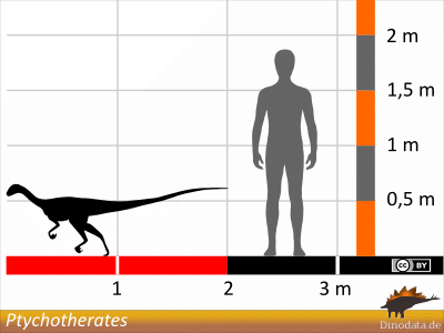 Größenvergleich / © Dinodata.de