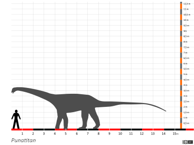 Größenvergleich / Dinodata.de. Creative Commons 4.0 International (CC BY 4.0)