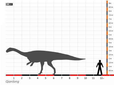Größenvergleich / Dinodata.de. Creative Commons 4.0 International (CC BY 4.0) Größenvergleich / Dinodata.de. Creative Commons 4.0 International (CC BY 4.0)