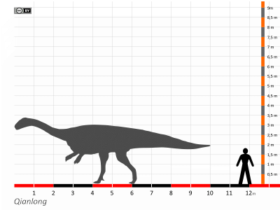 Größenvergleich / Dinodata.de. Creative Commons 4.0 International (CC BY 4.0)