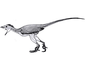 Rahonavis / © Øyvind M. Padron. Verwendet mit freundlicher Genehmigung des Autors.