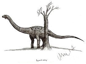 Rugocaudia / © Robinson Kunz. Verwendet mit freundlicher Genehmigung des Autors Rugocaudia / © Robinson Kunz. Verwendet mit freundlicher Genehmigung des Autors