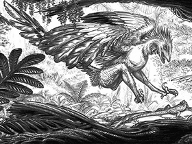 Rahonavis / © Luc J. Bailly Rahonavis / © Luc J. Bailly. Verwendet mit freundlicher Genehmigung des Autors.