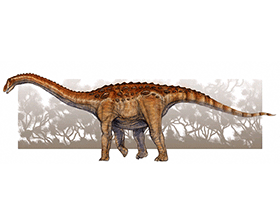 Rapetosaurus / © Thomas M. Miller Rapetosaurus / © Thomas M. Miller. Verwendet mit freundlicher Genehmigung des Autors