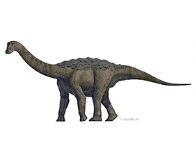 Rapetosaurus / © Raul Martin. Verwendet mit freundlicher Genehmigung des Autors.