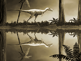 Raptorex / © Beate Basner. Verwendet mit freundlicher Genehmigung der Autorin.