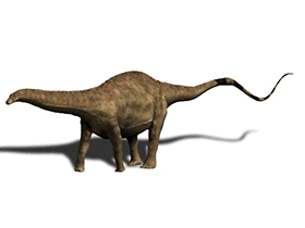 Rebbachisaurus / © N. Tamura. Verwendet mit freundlicher Genehmigung des Autors. Rebbachisaurus / © N. Tamura. Verwendet mit freundlicher Genehmigung des Autors.
