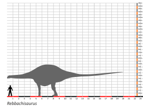 Größenvergleich © Dinodata.de. Creative Commons 4.0 International (CC BY 4.0) Größenvergleich © Dinodata.de. Creative Commons 4.0 International (CC BY 4.0)