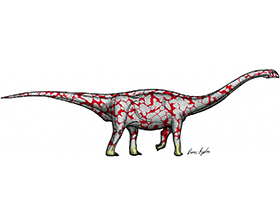 Rhoetosaurus / © Dann Pigdon. Verwendet mit freundlicher Genehmigung des Autors Rhoetosaurus / © Dann Pigdon. Verwendet mit freundlicher Genehmigung des Autors
