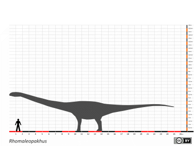 Größenvergleich / Dinodata.de. Creative Commons 4.0 International (CC BY 4.0)