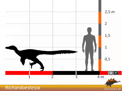 Größenvergleich / © Dinodata.de