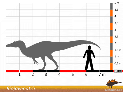 Größenvergleich / Dinodata.de. Creative Commons 4.0 International (CC BY 4.0) Größenvergleich / Dinodata.de. Creative Commons 4.0 International (CC BY 4.0)