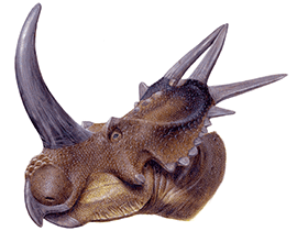 Rubeosaurus / Lukas Panzarin. Creative Commons 4.0 International (CC BY 4.0) Rubeosaurus / Lukas Panzarin. Creative Commons 4.0 International (CC BY 4.0)