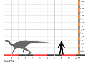 Größenvergleich © Dinodata.de. Creative Commons 4.0 International (CC BY 4.0) Größenvergleich © Dinodata.de. Creative Commons 4.0 International (CC BY 4.0)