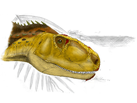 Rugops / © Michael Hanson Rugops / © Michael Hanson. Verwendet mit freundlicher Genehmigung des Autors.