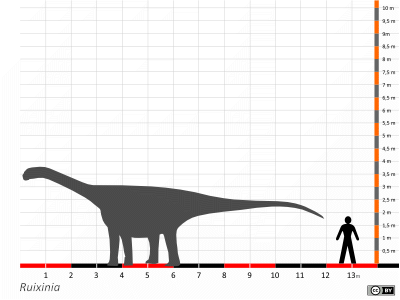 Größenvergleich / Dinodata.de. Creative Commons 4.0 International (CC BY 4.0) Größenvergleich / Dinodata.de. Creative Commons 4.0 International (CC BY 4.0)