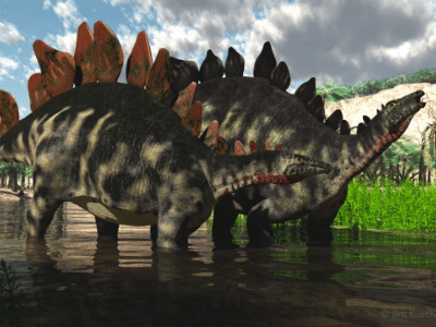 Stegosaurus / © James Kuether. Verwendet mit freundlicher Genehmigung des Autors. Stegosaurus / © James Kuether. Verwendet mit freundlicher Genehmigung des Autors.