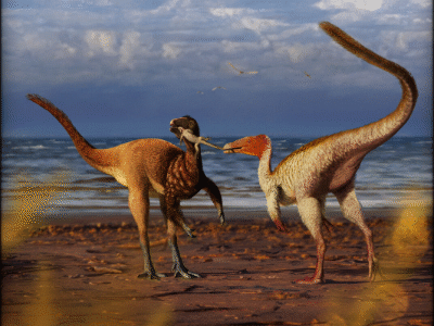 Mirischia & Santanaraptor / © Guilherme Gehr