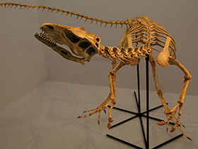 Santanaraptor / Kabacchi. Creative Commons 2.0 Generic (CC BY 2.0) Santanaraptor / Kabacchi. Creative Commons 2.0 Generic (CC BY 2.0)