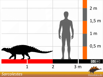 Größenvergleich / © Dinodata.de
