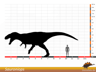 Größenvergleich / © Dinodata.de