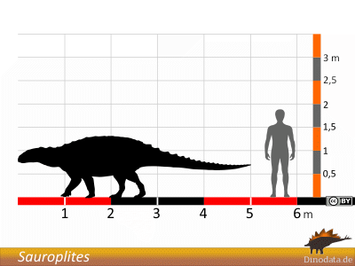 Größenvergleich / © Dinodata.de