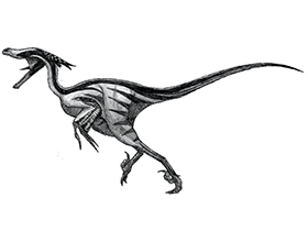 Saurornitholestes / © Øyvind M. Padron. Verwendet mit freundlicher Genehmigung des Autors. Saurornitholestes / © Øyvind M. Padron. Verwendet mit freundlicher Genehmigung des Autors.