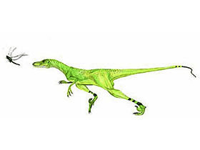 Saurornitholestes / © Mineo Shiraishi. Verwendet mit freundlicher Genehmigung des Autors. Saurornitholestes / © Mineo Shiraishi. Verwendet mit freundlicher Genehmigung des Autors.