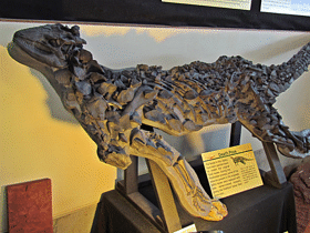 Fossil des Scelidosaurus / 5of7. Creative Commons ShareAlike 2.0 Generic (CC BY-SA 2.0) Fossil des Scelidosaurus / 5of7. Creative Commons ShareAlike 2.0 Generic (CC BY-SA 2.0)