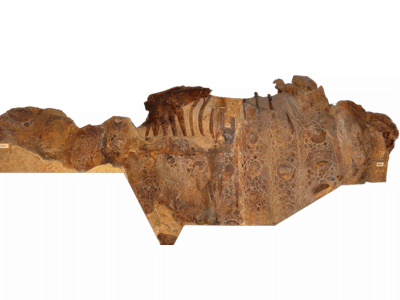 Mumie / © paleobear